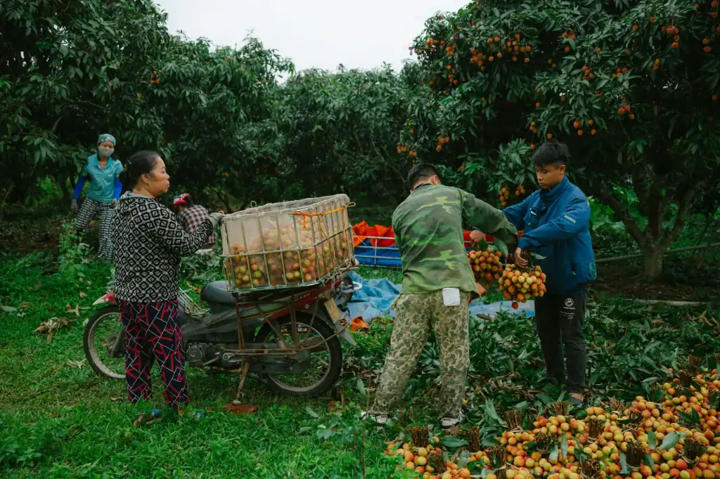 运城家装墙面材料升级:墙纸与壁布选购对比分析